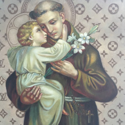 Robert Kukla - St. Lois