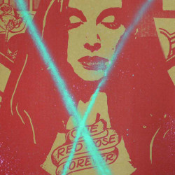 Copyright - Green Cross - 2013 - Spraypaint on Cardboard - 33 cm x 33 cm - 13 inch x 13 inch - Ministry of Walls Street Art Gallery - The Urban Art Broker