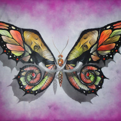 Otto Schade - Elephutterfly 2016 - 91cmx122cm - spray paint mixed technique on canvas - edition1 Ministry of Walls - Streetart Gallery Shop - The Urban Art Broker