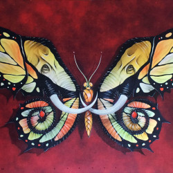 Otto Schade - Elephutterfly - 2016 - 54cmx35cm_21,26x13,78inch - print platinum etching 285g - edition 50 - Ministry of Walls - Streetart Gallery Shop