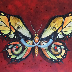 Otto Schade - Elephutterfly handfinished 2016 - edition10 - 54cmx35cm - 2126x1378inch - Ministry Of Walls-Streetart Gallery Shop - the urban artbroker