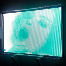 Slavia Ostap at Ministry of Walls Street Art Gallery and Shop